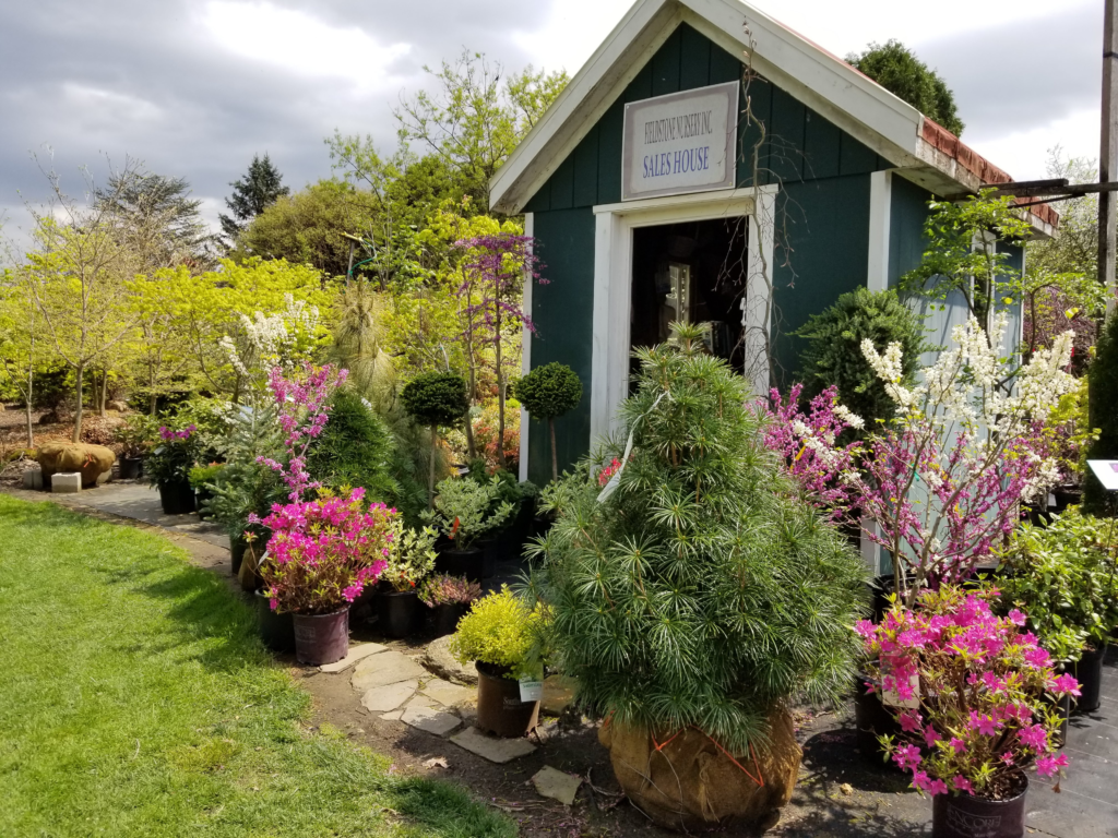 Fieldstone Nursery Inc. photo
